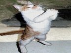 Komik ve �lgin� Foto�raflar