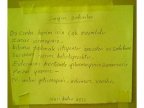 say�n sakinler