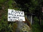 k�pek bozuk