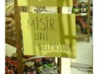 misir uni